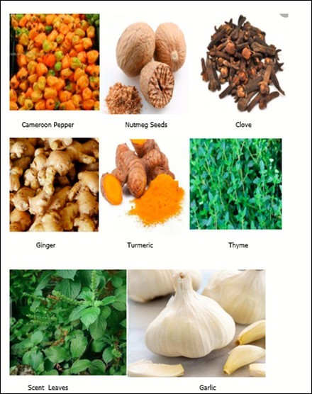 Pictures of Spices studied