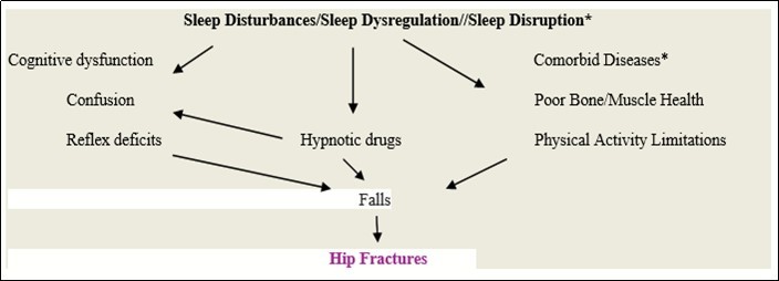 Possible interactive associations between sleep challenges in the older population and hip fractures and their outcomes * predicts possible further fractures15181920