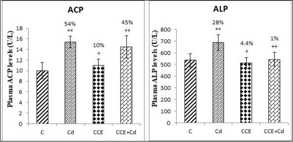 Plasma levels of total tartrate-resistant acid phosphatase (ACP) and total alkaline phosphatase (ALP) in the femurs of control and experimental rats after 10 weeks of treatment.