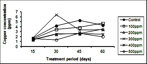 Copper concentration in soil exposed to different concentrations of ZnSO4 and treated with L. esculentum