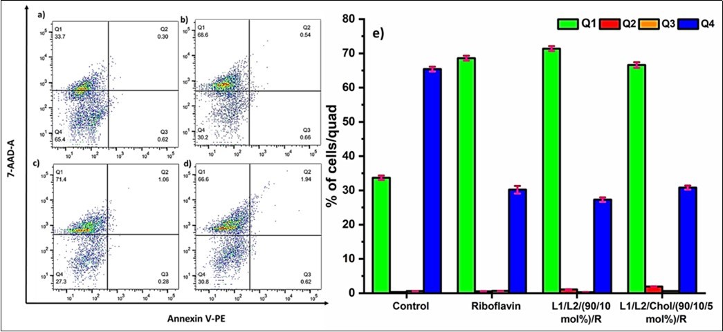 Apoptosis assay using Annexin V PE/7-AAD a) Control-Cells treated with UV b) Cells seeded with Unencapsulated Riboflavin and UV treated c) Cells seeded with Formulation L1/L2 (90/10 mol%)/RB and treated with UV d) Cells seeded with Formulation L1/L2/Chol (90/10/5 mol%)/RB and treated with UV e) Graphical representation of cell apoptosis in the four quadrants