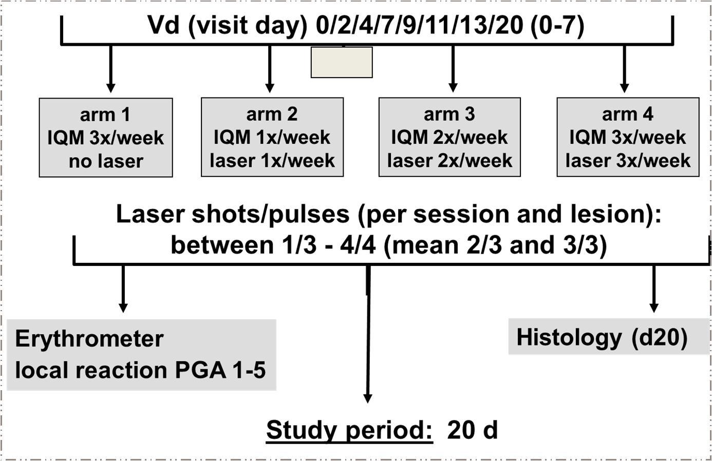 Design of the basal cell carcinoma study