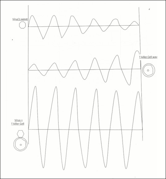 T cell killer resonance waves of attraction to strange Virus.