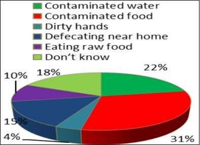 knowledge on causes of diarrhea of respondent Lodha mothers.