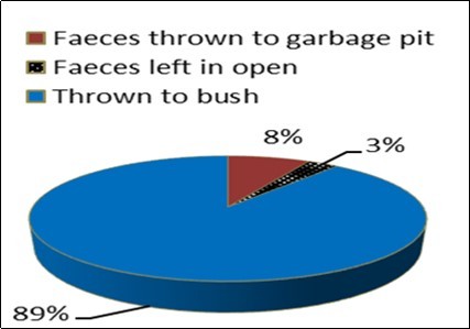Handling of children stool by Lodha family