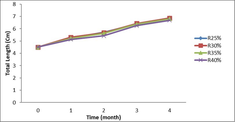 Evolution of the total length of Labeobarbus batesii in pre-magnification according to the type of compound food