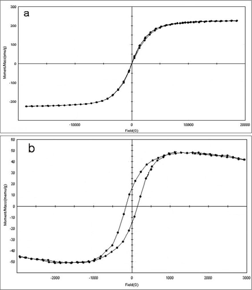 Vibrating sample magnetometer (VSM) field of a) CI NPs and b) CI-PAA-PPy nanocomposite