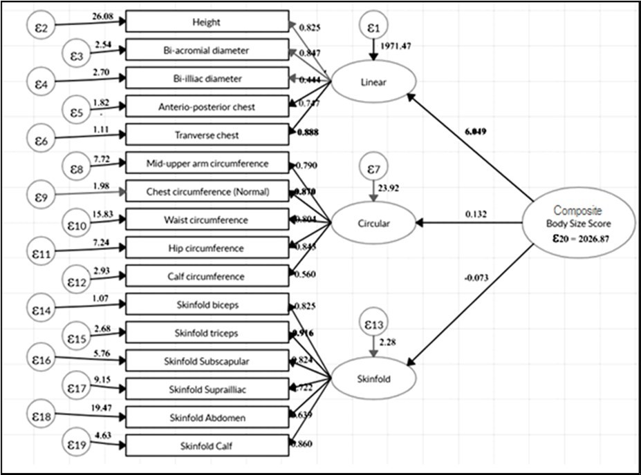 The composite indicators of the body size score with measurements and latent variables by second order confirmatory factor analysis (unstandardized)
