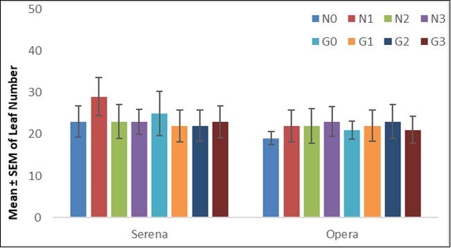 Impact of Guano on Leaf Number of Serena and Opera cultivars (AlKadaro, Sudan, 2017)