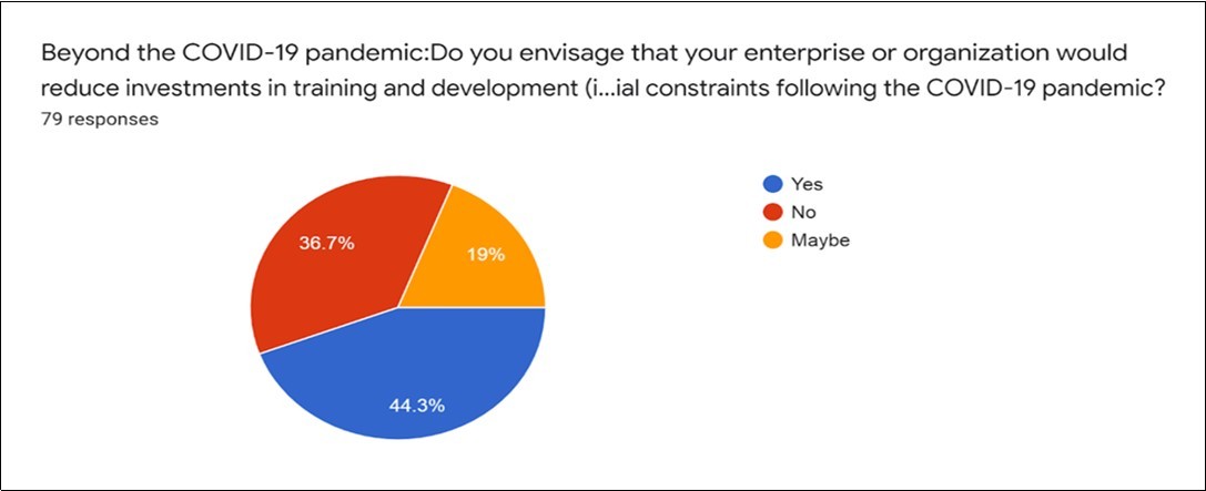 Enterprise investment and COVID-19 pandemic June,2020 to October,2020