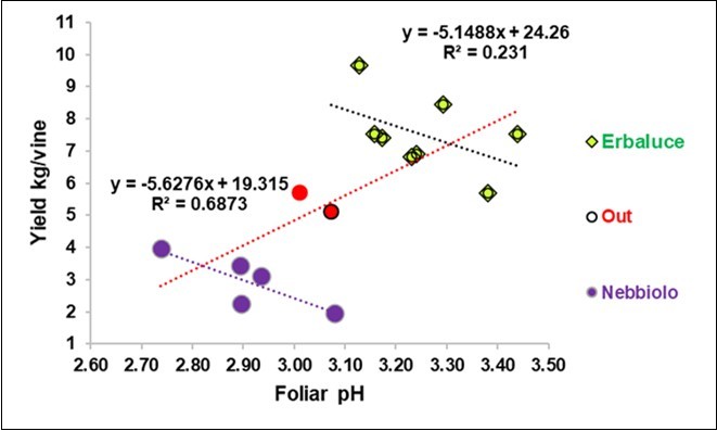 Regression of the yield on the foliar pH in the Erbaluce and Nebbiolo vines, excluded two overlapping points.