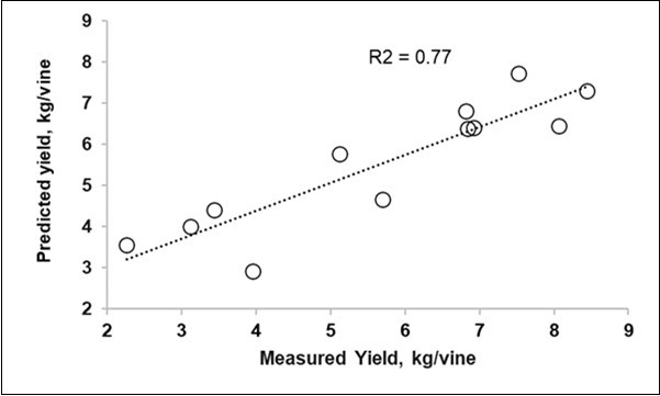 Biplot of the measured (X) vs. predicted yield from the PLS model with four Sentinel 2 -like reflectances and the foliar pH using the averages of 12 groups (3 excluded).