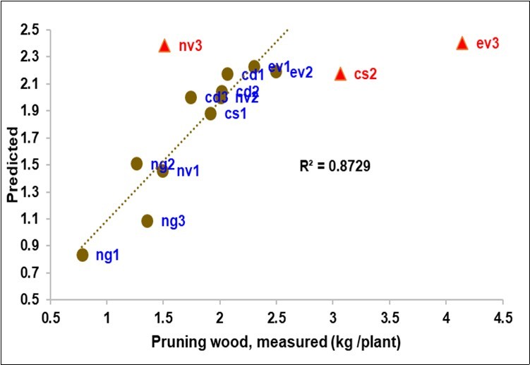 Biplot of the measured (X) vs. predicted pruning wood from Litterbag-NIRS (three outliers in red).