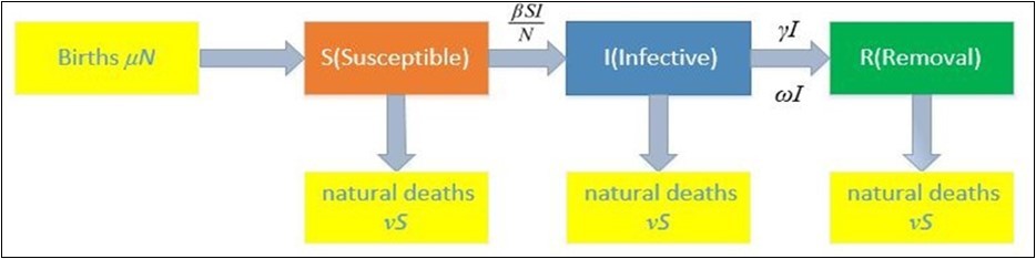SIR model diagram in Hubei Province (consider births and natural deaths)