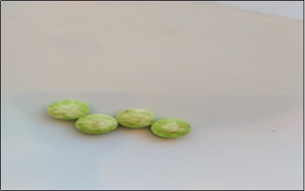 Delayed coated tablets (F3)