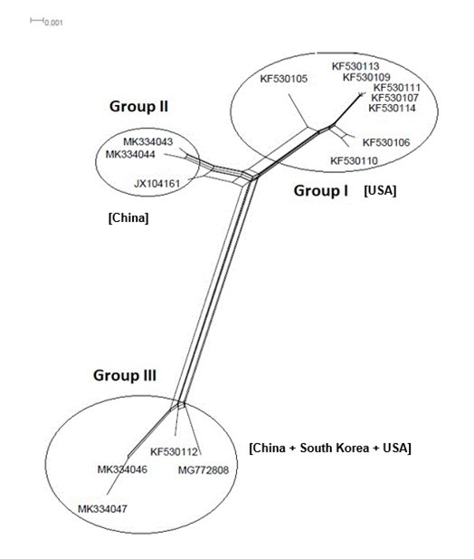 NeighborNet for 15 sequences of spike glycoprotein-coding gene of coronaviruses lineages of HCoV/NL63 belonging to cluster III (subgroup II). The networked relationships indicate the presence of reticulate events. Boxes imply likelihood of recombination. The phylogenetic network constructed, using SplitsTree4 software, delineated seven distinct clusters. The scale bar shows the number of substitution per nucleotide.