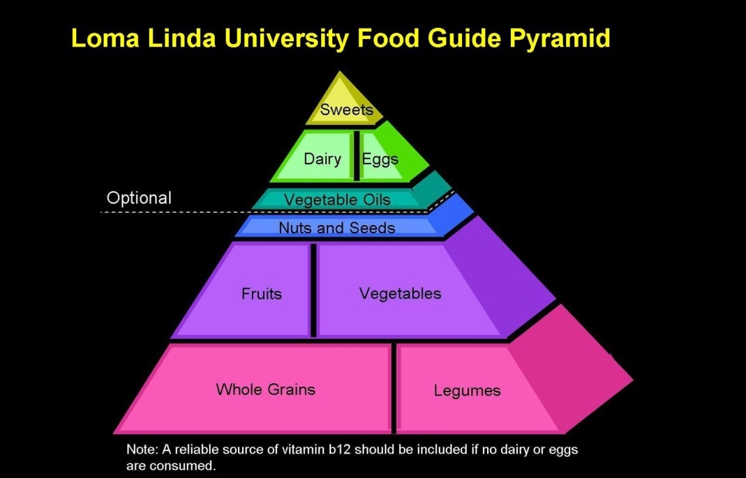The first Vegetarian Food Pyramid (©1997 Loma Linda University, School of Public Health, Department of Nutrition). Available at: www.vegetariannutrition.org/3ICVN%20Pyramid.jpg (Accessed Aug 14, 2014; reproduced with permission)