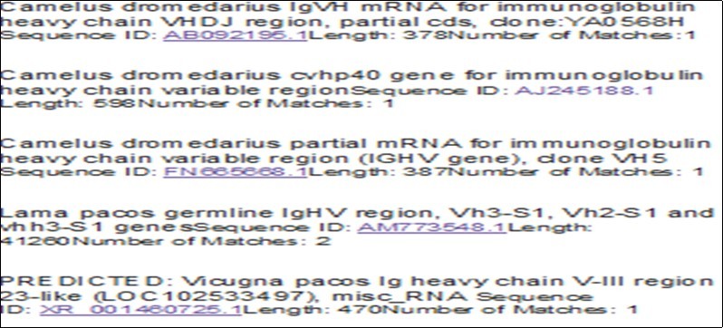 GenBank data showing similarity about 90% with first clone