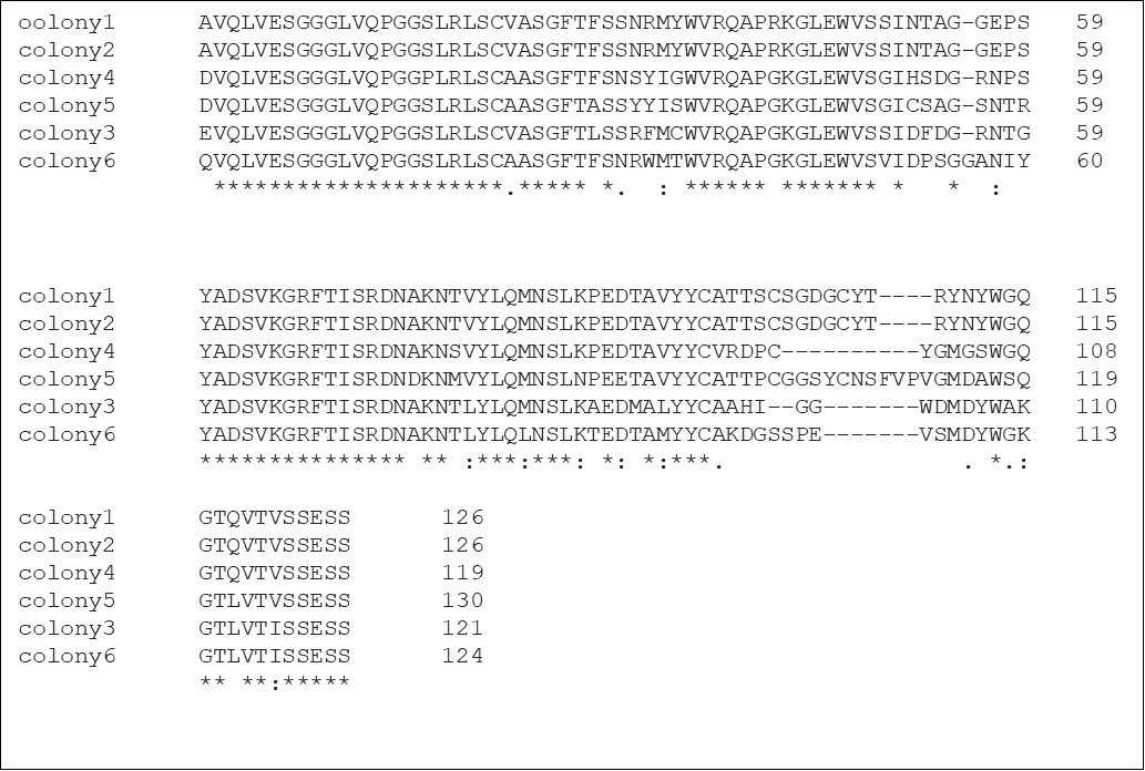 Multiple protein sequencing alignments.