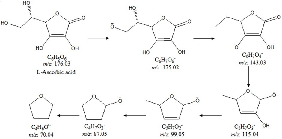 Proposed fragmentation pattern of ascorbic acid in –ve ion mode.