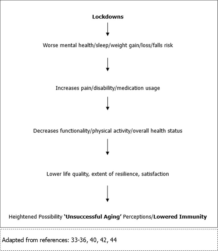 Conceptual Model of Interactive Outcomes of COVID-19 Lockdowns on Successful Aging