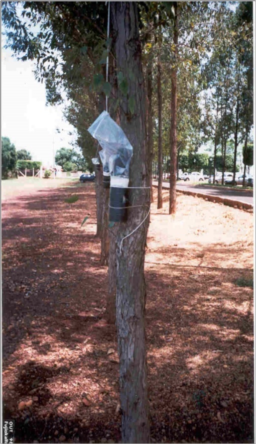 General appearance of the trap.