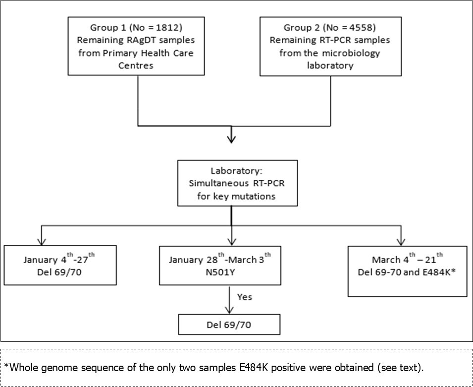 Flowchart of the work process followed to detect samples with a spike gene target failure (69/70 deletion and positive result in the orf1ab and N genes TaqPath Termo Fisher Scientific).