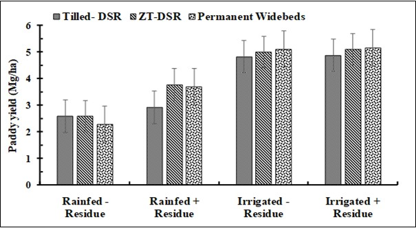 Effect of tillage and crop establishment methods, residue mulch and irrigation provisions (+/-) on productivity of a direct dry seeded rice crop on Jabalpur deep black soil (Adapted from Gupta et al., 2019)