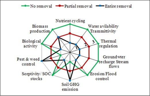 Impact of crop residue management on soil functions and plant growth (Adapted from Cherubin et al., 2017). The 1-3 impact scale denotes 1 - low, 2 – medium, and 3-high.