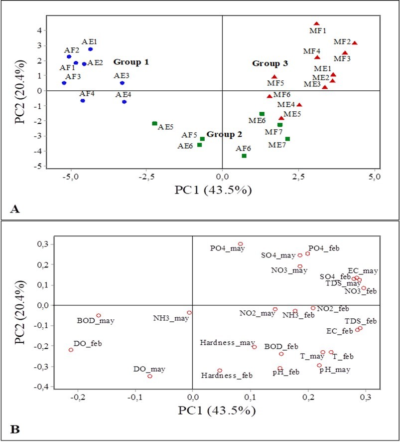 Analysis of main components of the score plot type (A) and loading plot (B) on the data of variables determined during the rainy season (February and May) under ebbing and flooding tide conditions in 2011. Note: AE (Arienga ebbing tide); AF (Arienga flooding Tide); ME (Murucupí ebbing tide); MF (Murucupí flooding tide).