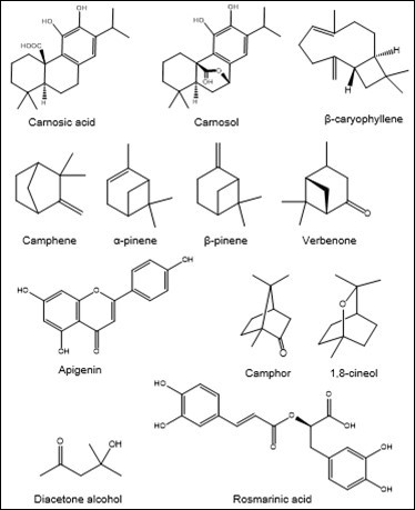 Phytochemicals from RE and REO reported in the literature.