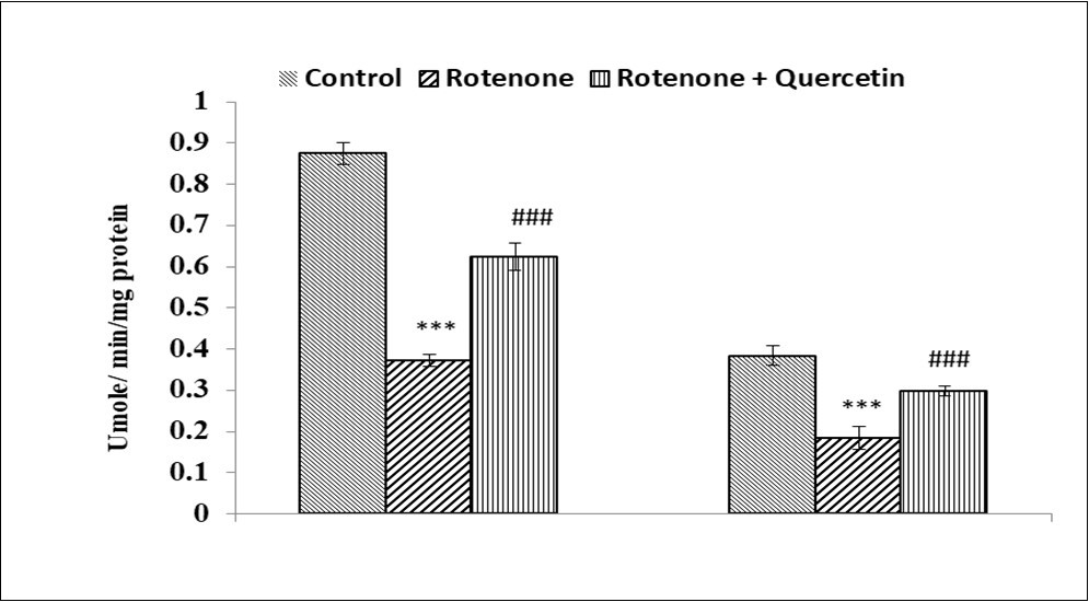 Effect of rotenone and co-treatment of rotenone and quercetin on catalase in liver and kidney of mice. The results were expressed as mean±SE (n=04). ***(p<0.001), Significantly differs from control group, ###(p<0.001) Significantly differs from rotenone treated group.