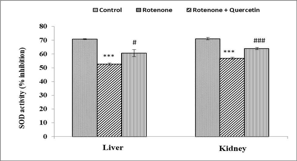 Effect of rotenone and co-treatment of rotenone and quercetin on superoxide dismutase in liver and kidney of mice. The results were expressed as mean±SE (n=04). ***(p < 0.001) Significantly differs from control group, #(p<0.05) Significantly differs from rotenone treated group.