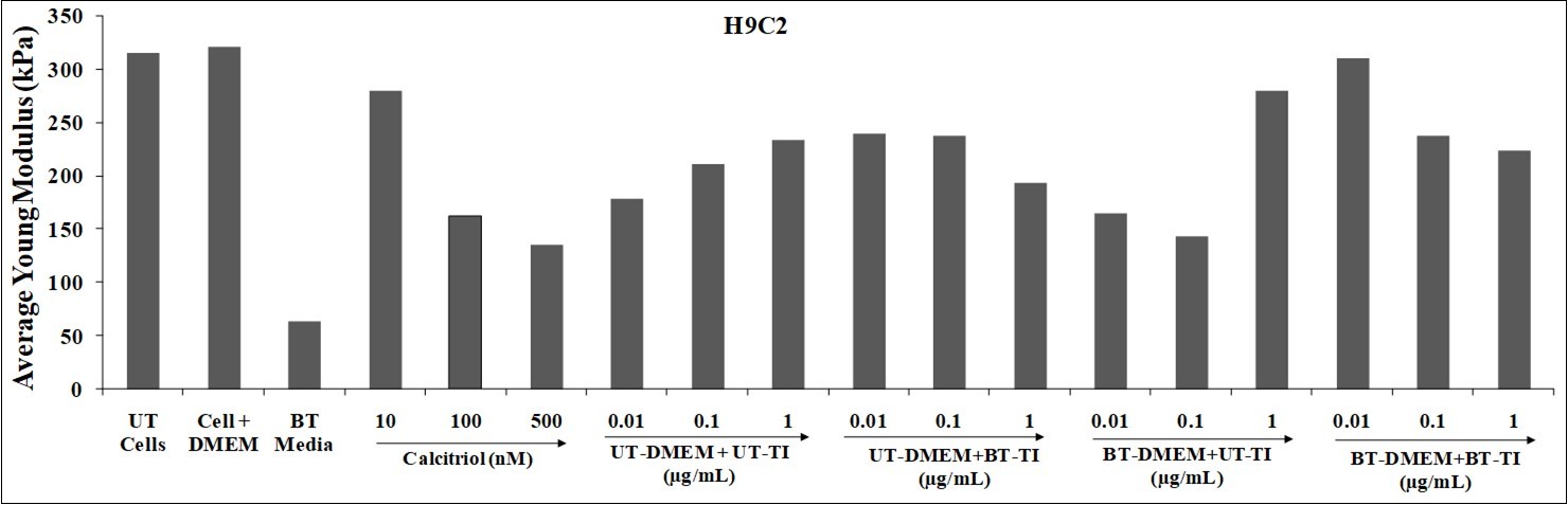 Effect of the test item on the level of young’s modulus (YM) in H9C2 cell line after 72 hours. UT: Untreated; BT: Biofield Energy Treated/Blessed; TI: Test Item.