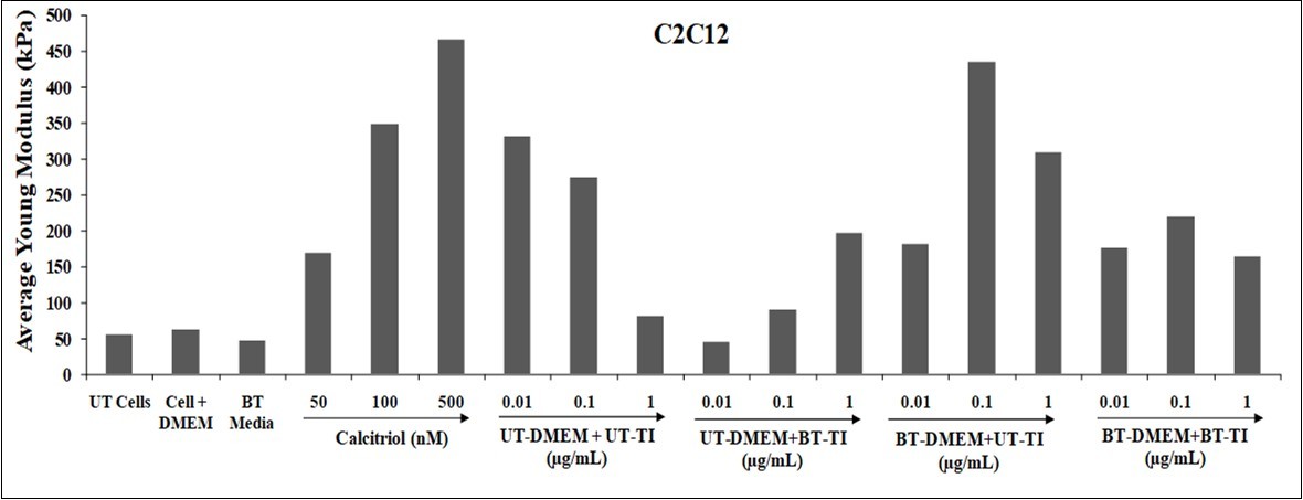 The effect of the test item on the level of young’s modulus (YM) in C2C21 cell line after 48 hours. Vehicle control (DMSO-0.05%), UT: Untreated; BT: Biofield Energy Treated/Blessed; TI: Test Item.