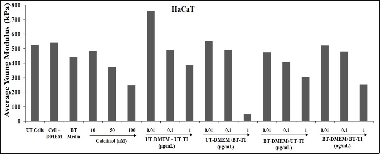 The effect of the test item on the level of young’s modulus (YM) in HaCaT cell line after 48 hours. UT: Untreated; BT: Biofield Energy Treated/Blessed; TI: Test Item