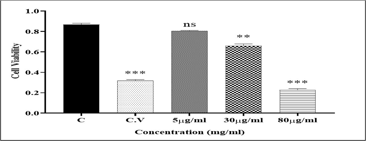 Effect O2/O3on cell viability. Succinate dehydrogenase activity was measured using MTT dye as described in Materials and methods. Isolated mitochondria (0.5 mg/ml) were incubated for 1h with various concentrations of O2/O3 (5,30, 80µg/ml). Values represented as mean ± SD (n=5). *P > 0.05; **P > 0.01; *** P> 0.001, **** P> 0.0001compared to control mitochondria.