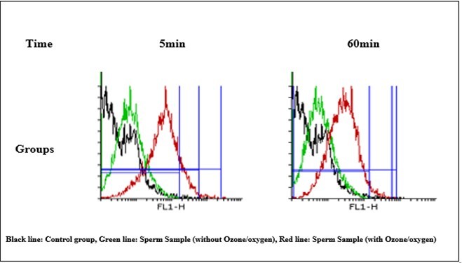 ROS formation in O2/O3-treated mitochondria. ROS formation after the addition of various concentrations of O2/O3 (5 μg/ml) at intervals of A) 5 min after the addition, B) 60 min after the addition. C) ROS formation was determined through flow cytometry using DCF-DA as described in Materials and methods. FL1: the fluorescence intensity of DCF.