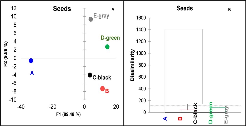 Principal coordinate analysis and dendrogram of the five treatments based on the average NIR spectra of the berry seeds