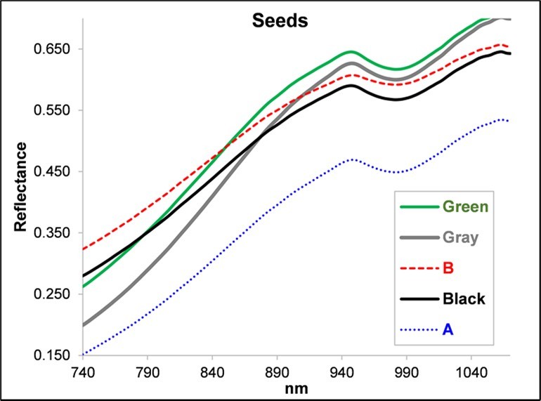 Average NIR reflectance spectra of the seeds for the five treatments