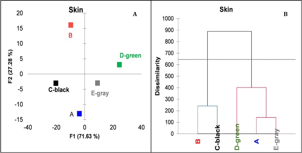 Principal coordinate analysis and dendrogram of the five treatments based on the average NIR spectra of the berry skin