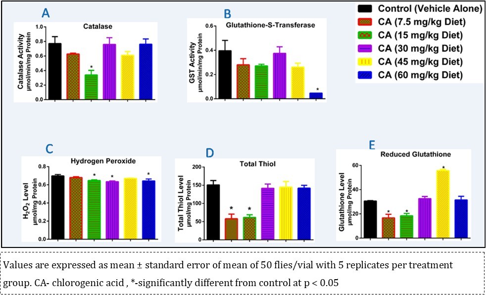 Effect of chlorogenic acid on antioxidant status.