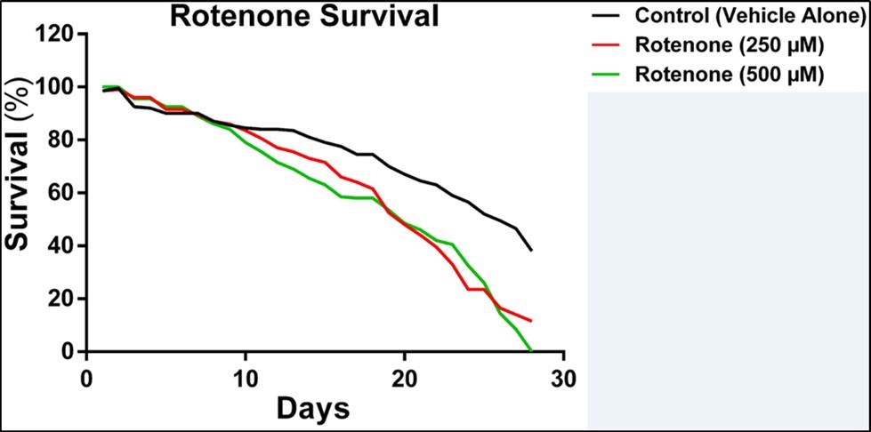 Influence of rotenone on survival of D. melanogaster after 28 days of treatment
