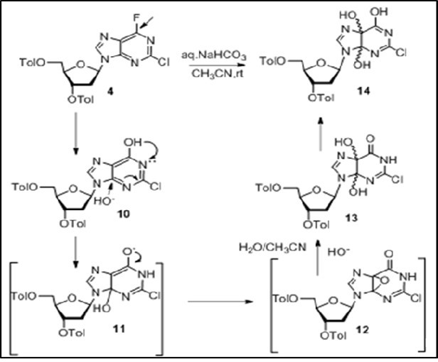 Synthesis of purine modified 2′-deoxynucleoside 14 from 2-chloro-6-fluoropurine derivative 4