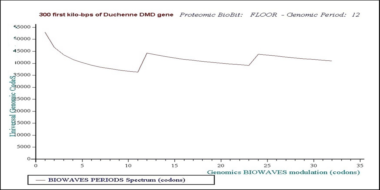 Long waves from Genomics master code images (300000 bases from DMG gene (Duchenne Muscular Distrophy)