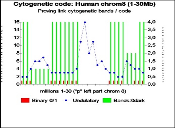 Example of chromosome 8 bands evidence from Proteomics Binary code and Genomics undulatory code (30 first millions bases in human chromosome 8).