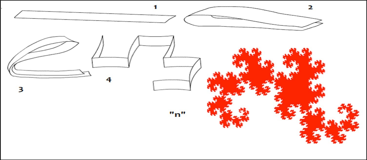 The Fractal "Dragon Curve" manage billions populations of triplets codons in the whole Human Genome