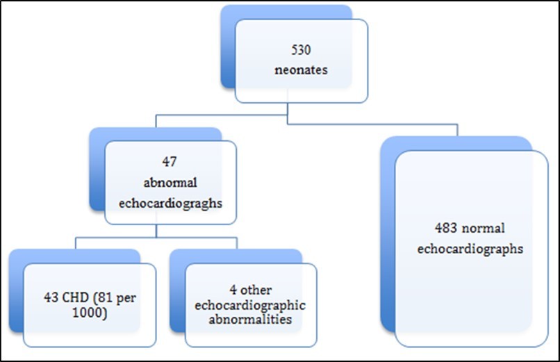 Prevalence of Congenital Heart Defect in the study population