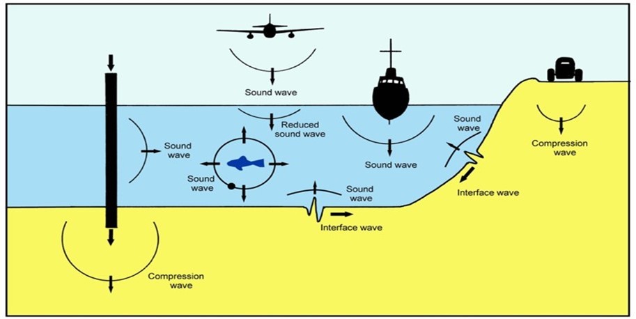 (Drawn by me): There are a number of human aquatic sound sources, and sounds may be generated in the air by aircraft, in the water (often from boat engines and propellers, seismic air guns and trawls towed by vessels, pile driving construction work, and sometimes operational wind turbines), and vibration is also generated within the substrate. While most of the sounds arise from operations in the water, it is also apparent that vibration generated on land, for example by vehicle traffic and construction work, may also get into the water through the substrate. Thus, the underwater acoustic environment, especially near the shore, can be very complex as a result of human activities.