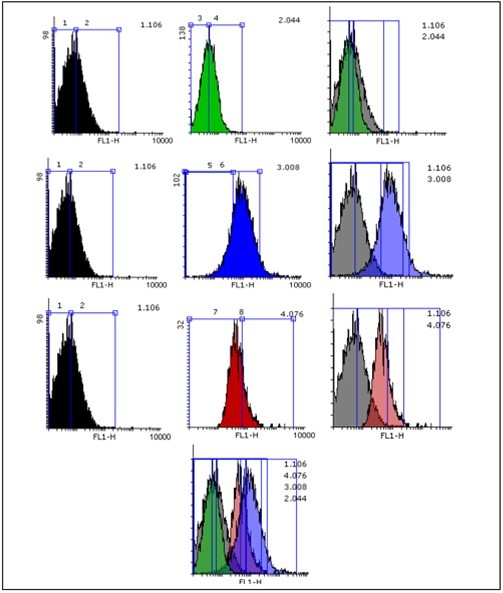 Flowcytometric analysis of ROS formation in testis cell. Analysis were measured using BD flowcytometry. Fluoresce intensity mean of DA-DCF significantly increased in animal ischemic group in compared to control group that led to transporting pick from left to right of the histogram. Fluoresce intensity mean of DA-DCF. Significantly decreased in ischemic group + ozone/oxygen group treated group in compared to ischemic group group that led to transporting pick from right to left of the histogram.